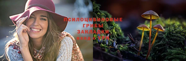 ПСИЛОЦИБИНОВЫЕ ГРИБЫ Богородск
