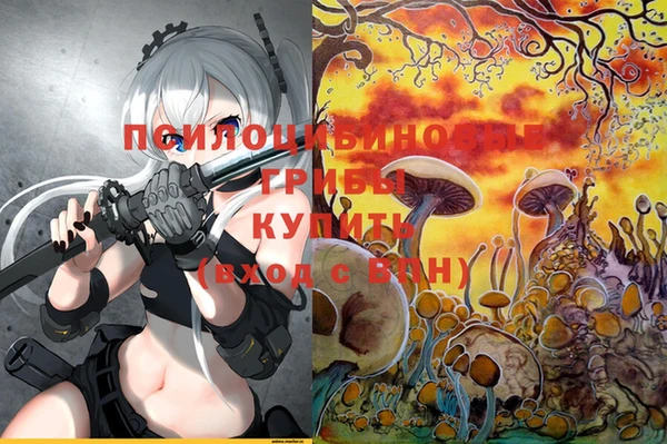 apvp Богданович
